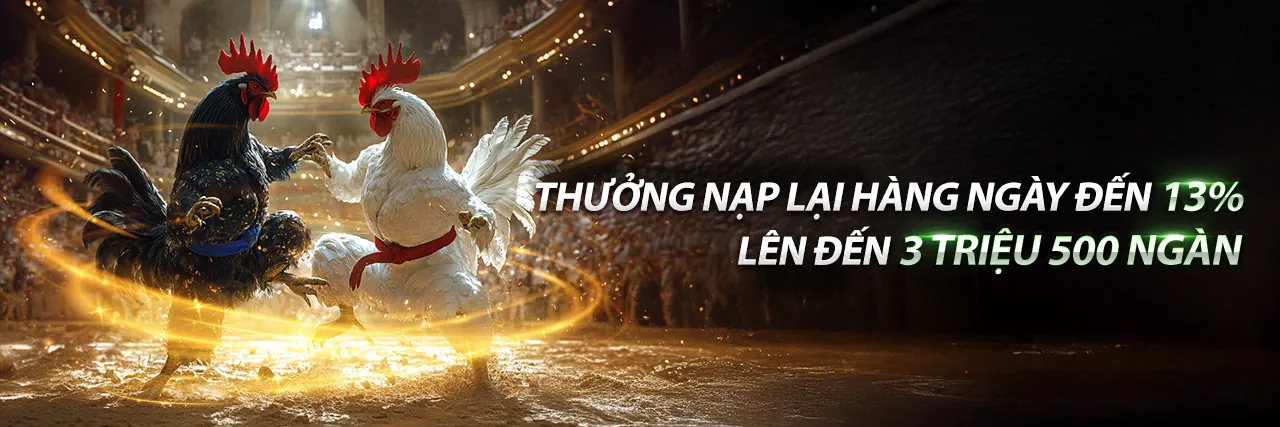 Đá gà trực tuyến f1686 với trận đấu kịch tính