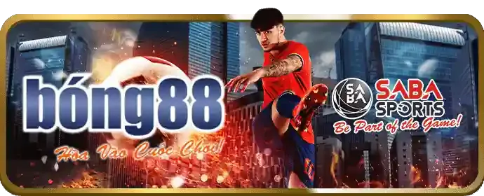 Hoàn trả cược thể thao f1686